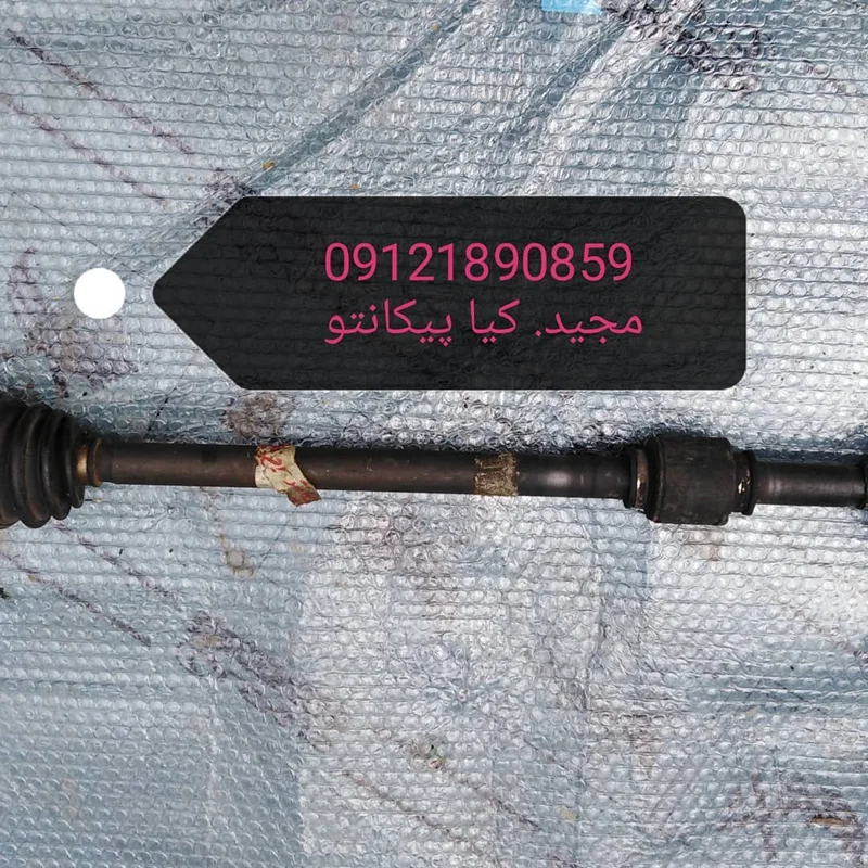 پلوس کیا پیکانتو