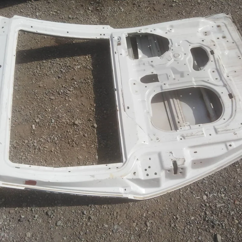 درب کیا کارنیوال 2008 تا 2009